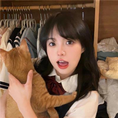 来自收容所的爱