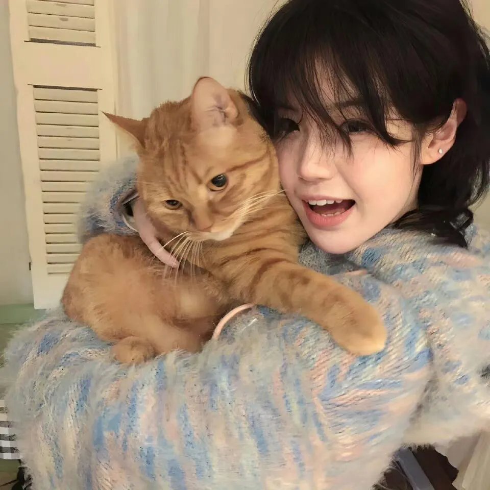 好莱坞交易